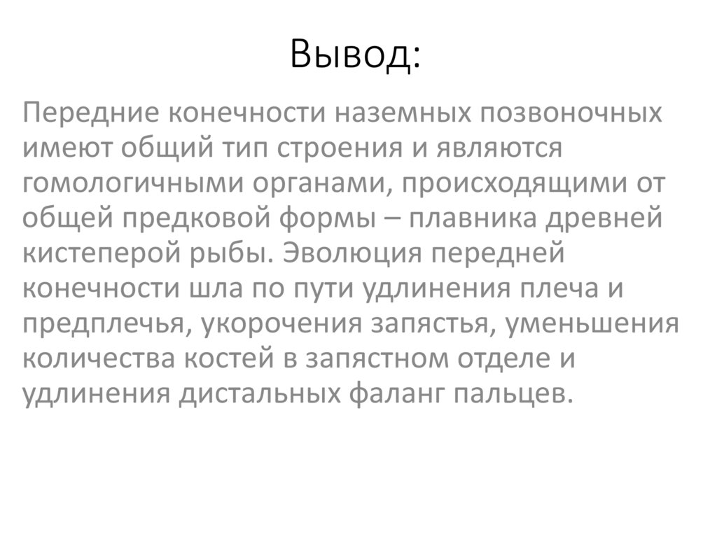 Вывод: