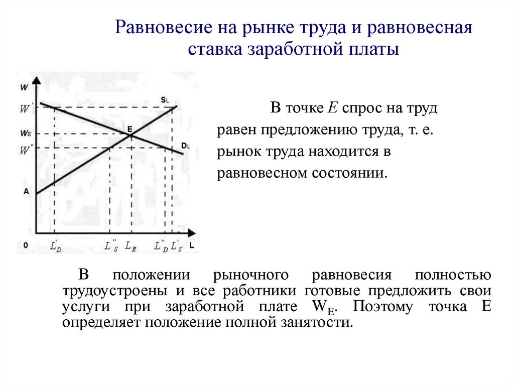 Равновесие на рынке труда и равновесная ставка заработной платы
