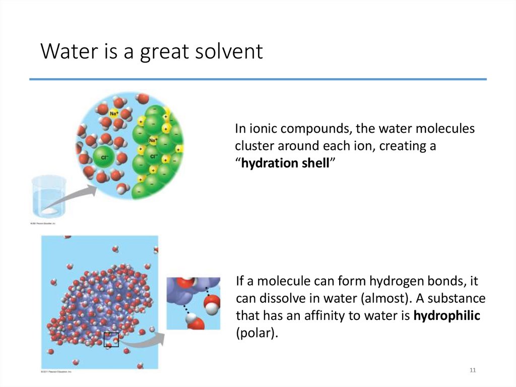 Water is a great solvent