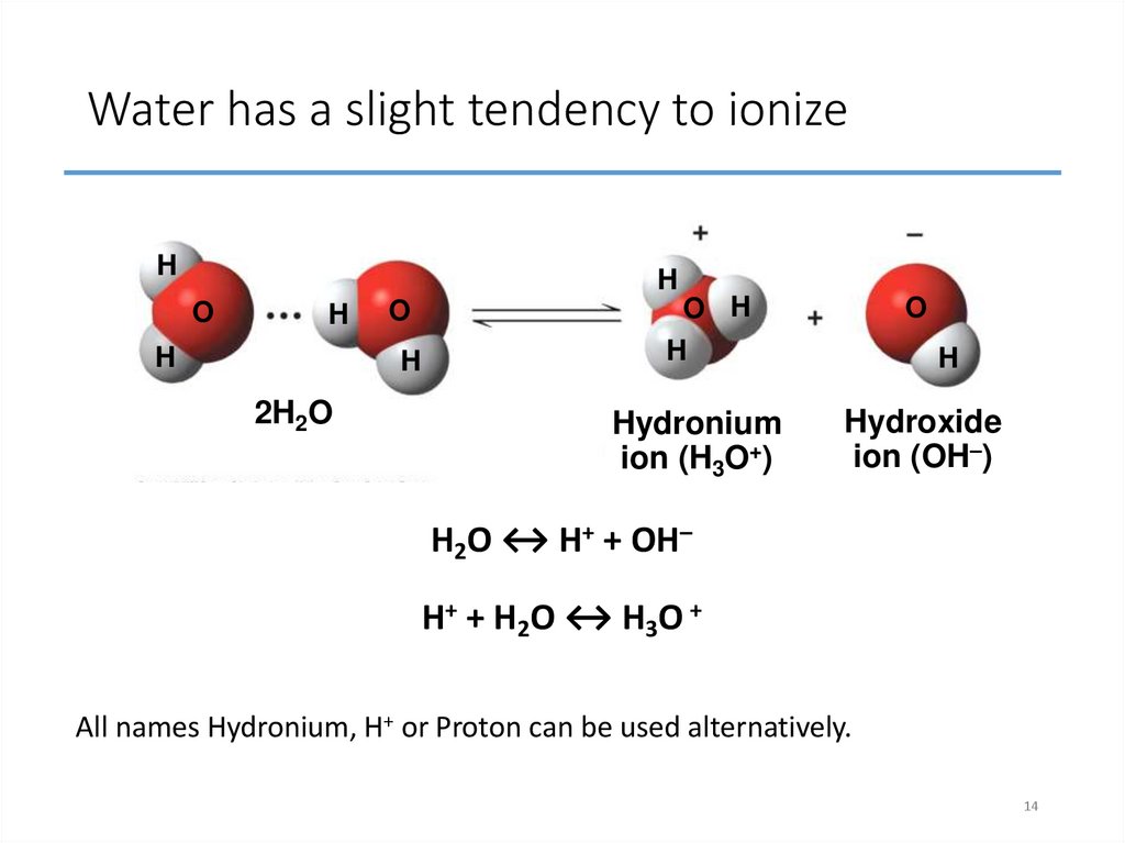 Water has a slight tendency to ionize