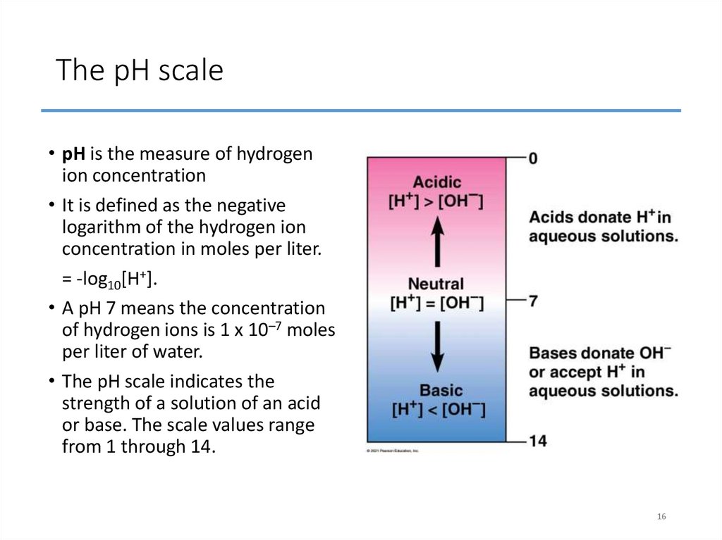 The pH scale