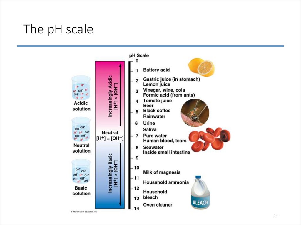 The pH scale