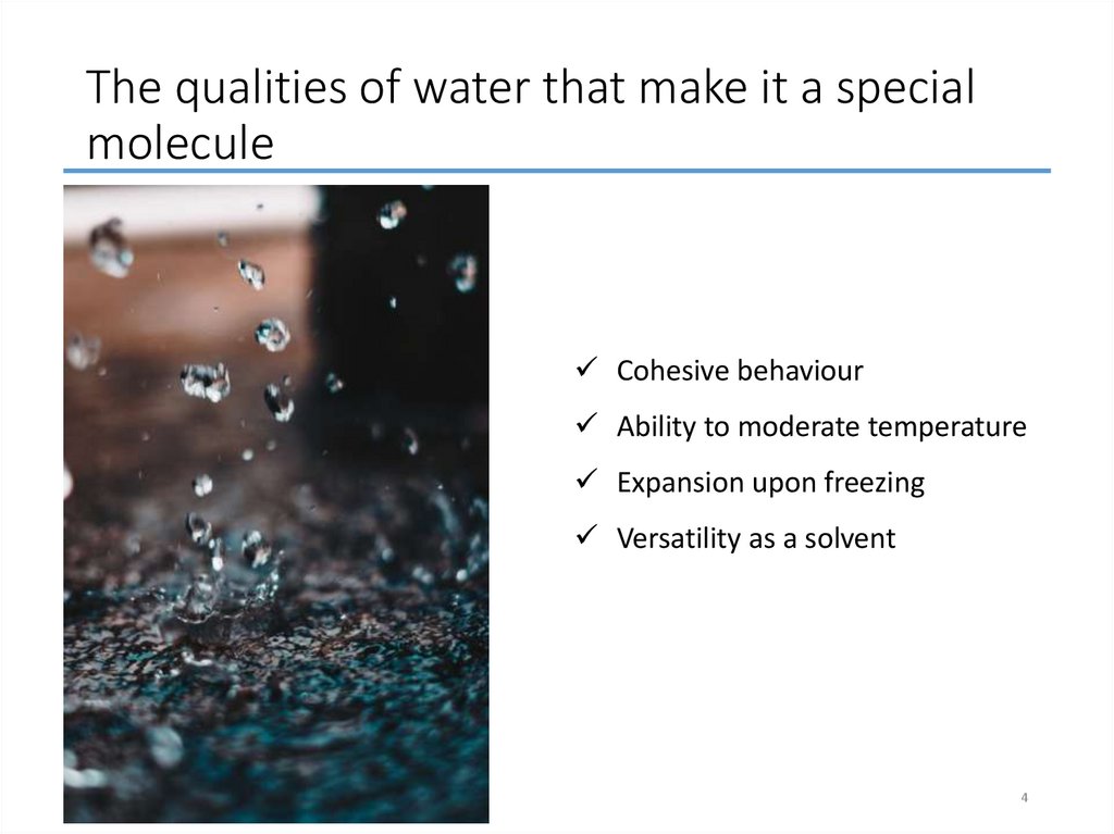 The qualities of water that make it a special molecule