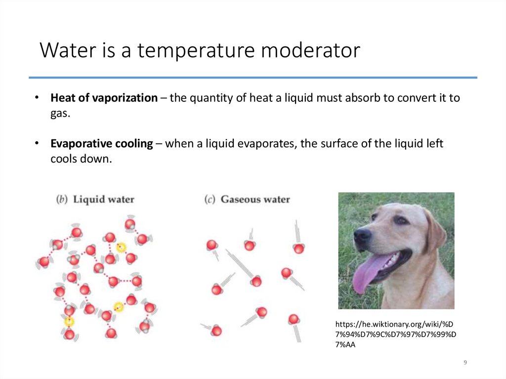Water is a temperature moderator
