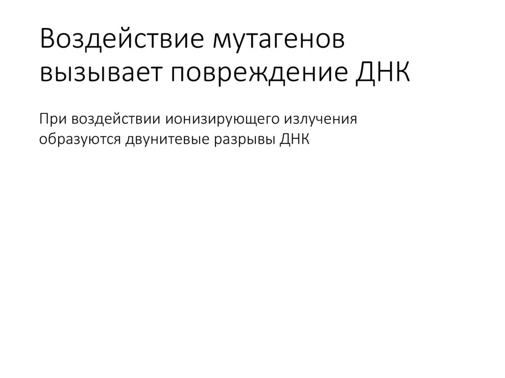Воздействие мутагенов вызывает повреждение ДНК