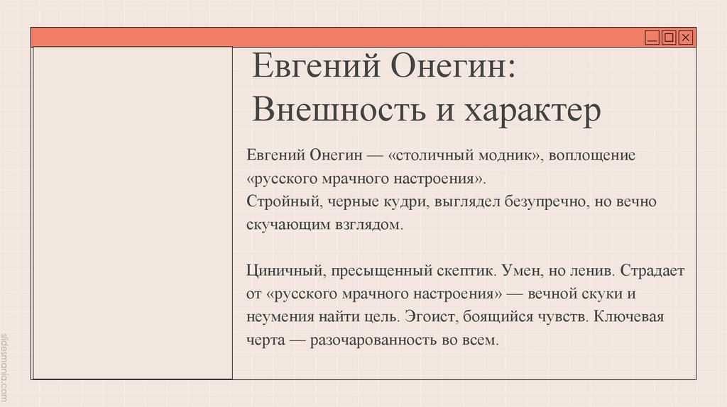 Евгений Онегин: Внешность и характер