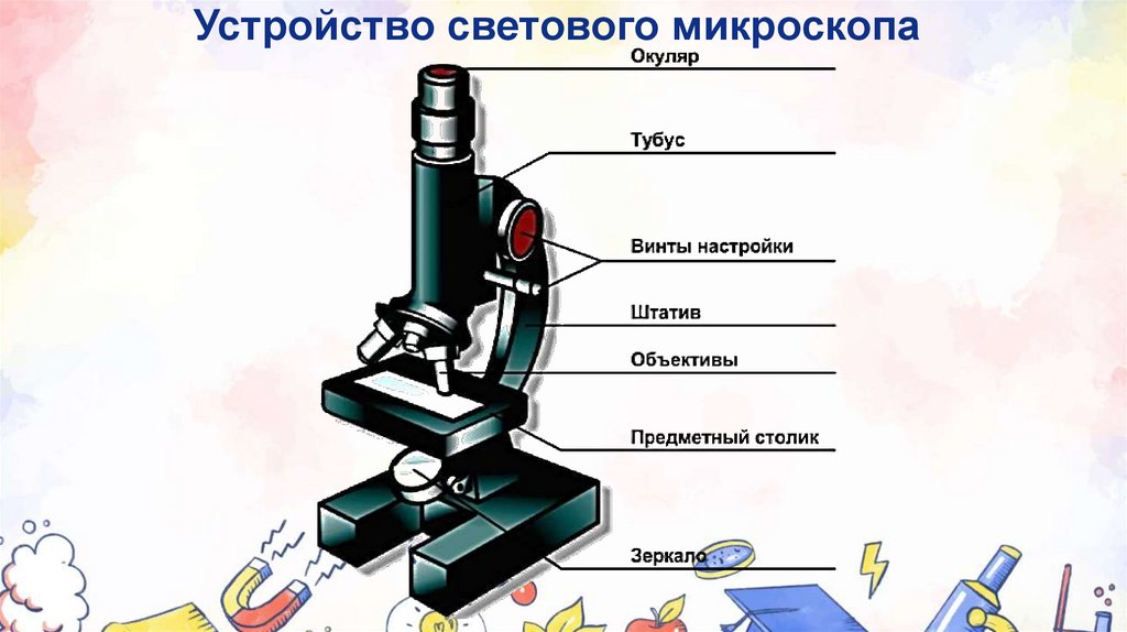 Устройство светового микроскопа