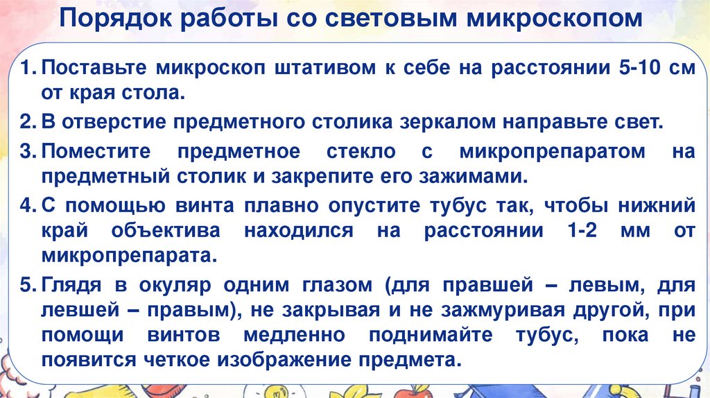 Порядок работы со световым микроскопом