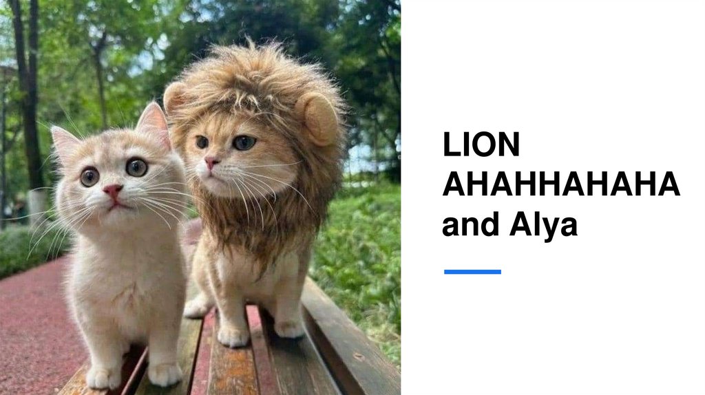 LION AHAHHAHAHA and Alya