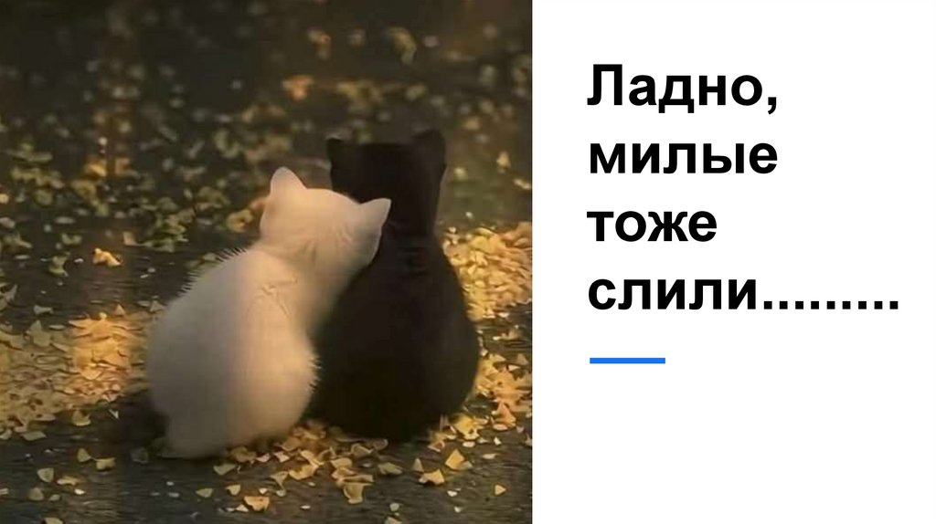 Ладно, милые тоже слили.........