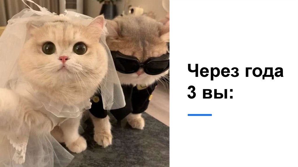 Через года 3 вы: