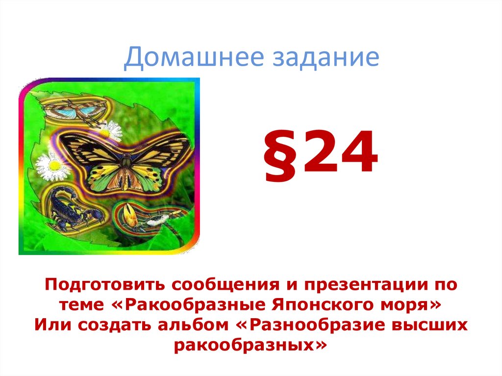 Домашнее задание