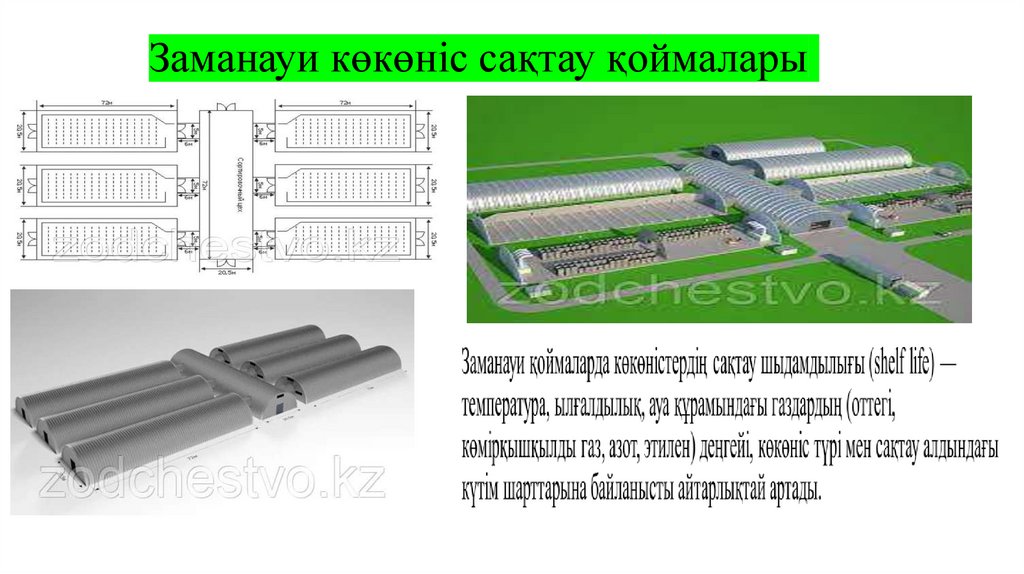 Заманауи көкөніс сақтау қоймалары
