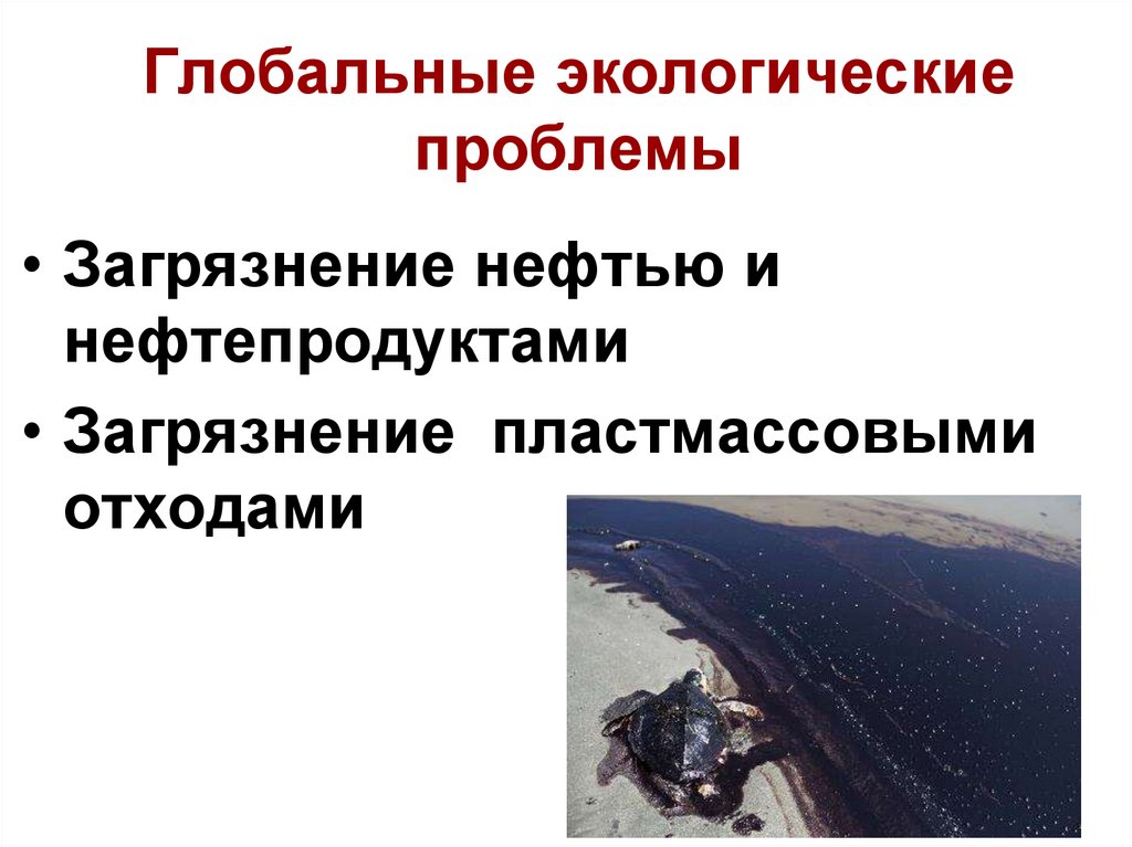 Глобальные экологические проблемы