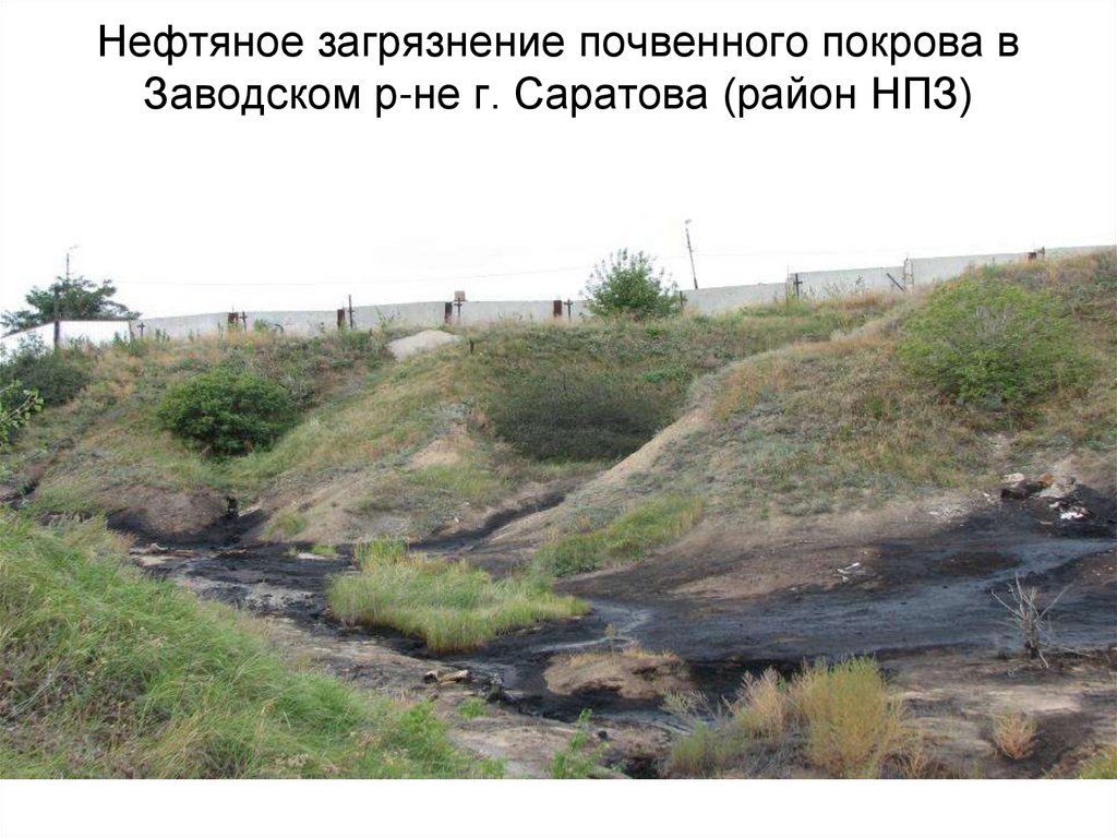 Нефтяное загрязнение почвенного покрова в Заводском р-не г. Саратова (район НПЗ)