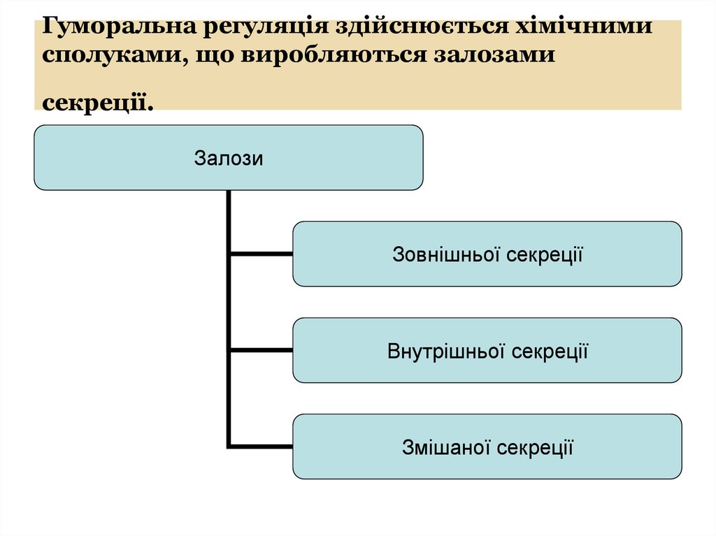 Гуморальна регуляція здійснюється хімічними сполуками, що виробляються залозами секреції.