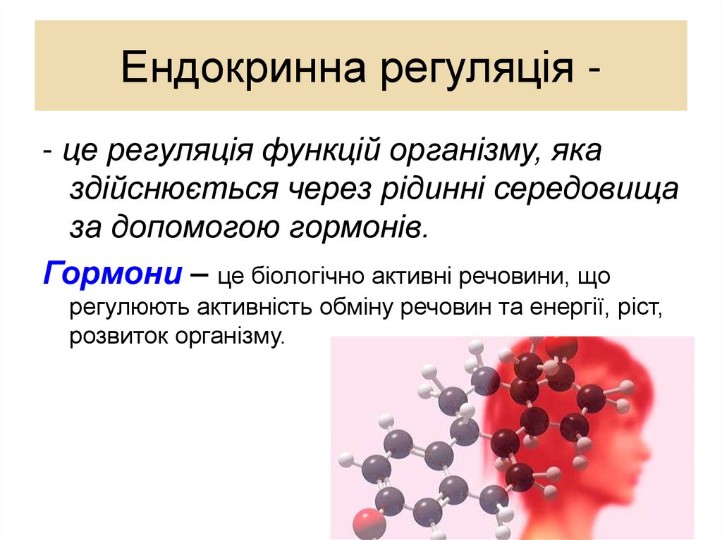 Ендокринна регуляція -