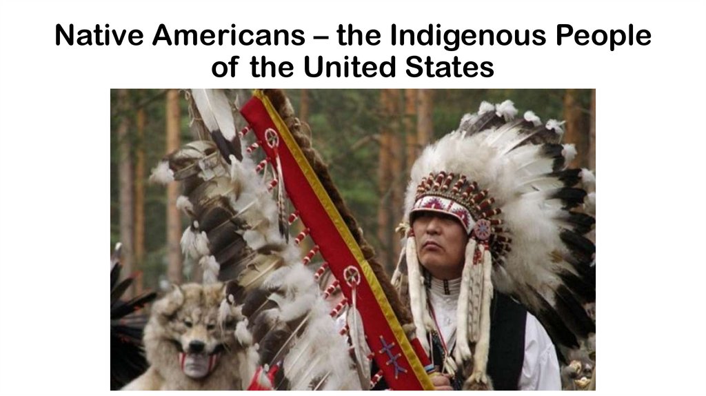 Native Americans – the Indigenous People of the United States