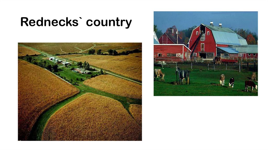 Rednecks` country
