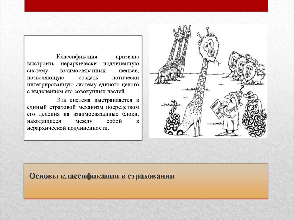 Основы классификации в страховании