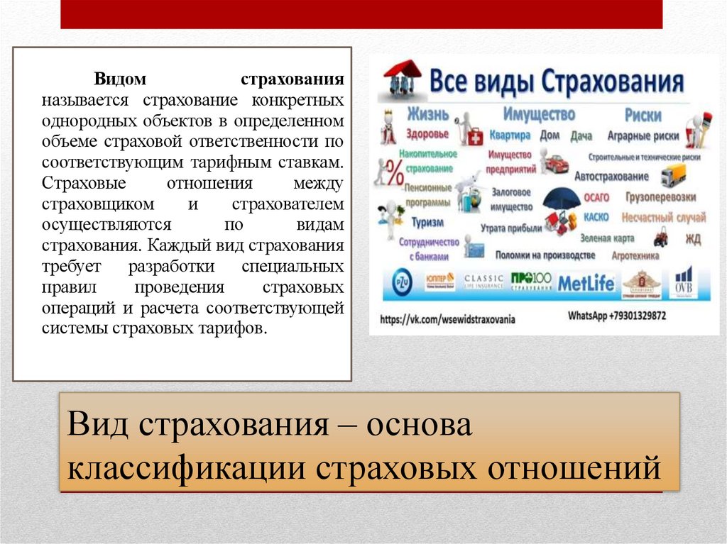 Вид страхования – основа классификации страховых отношений
