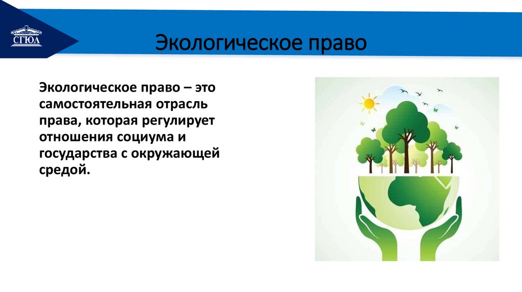 Экологическое право