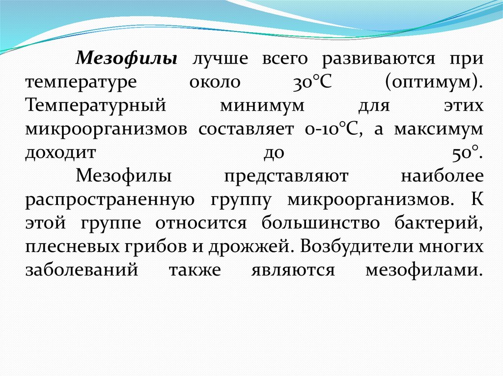 Мезофилы лучше всего развиваются при температуре около 30°С (оптимум). Температурный минимум для этих микроорганизмов