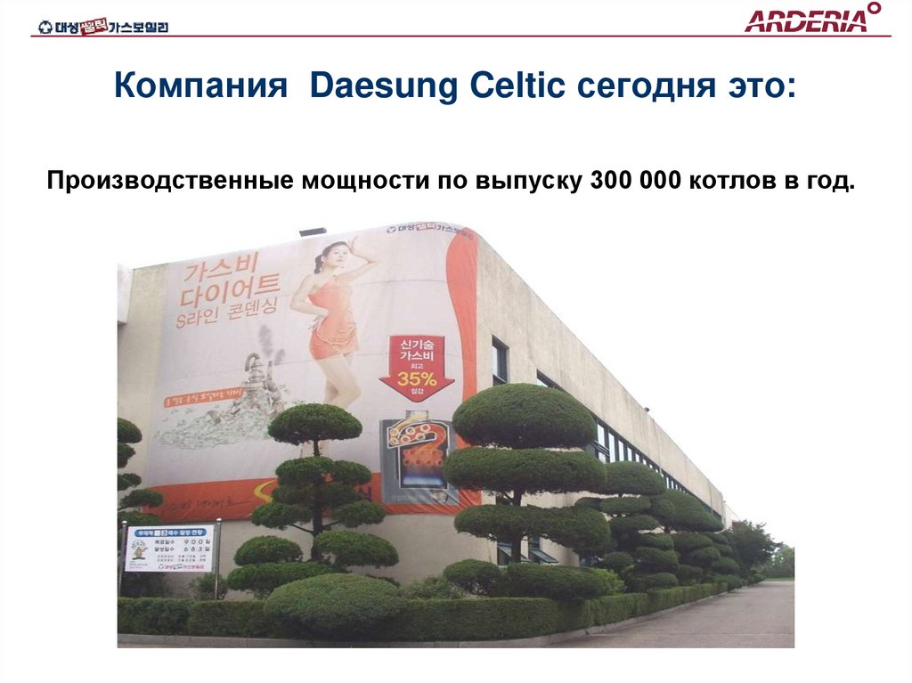 Компания Daesung Celtic сегодня это: