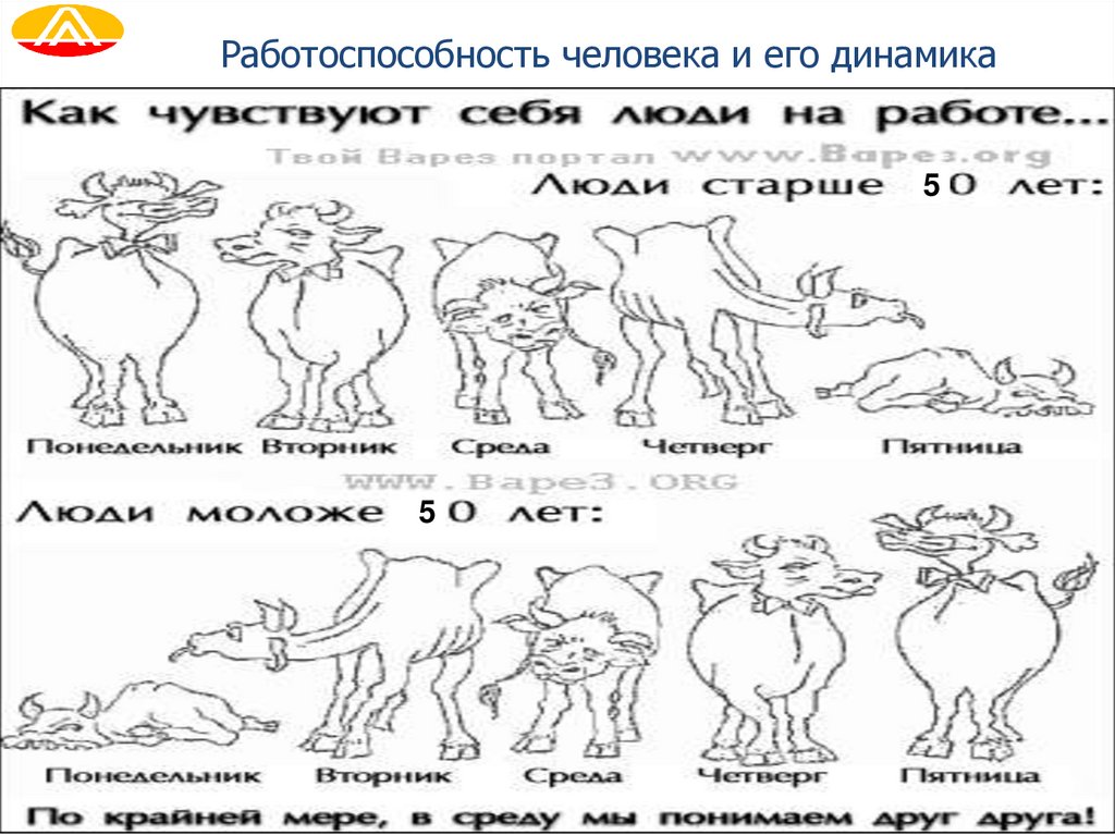 Работоспособность человека и его динамика
