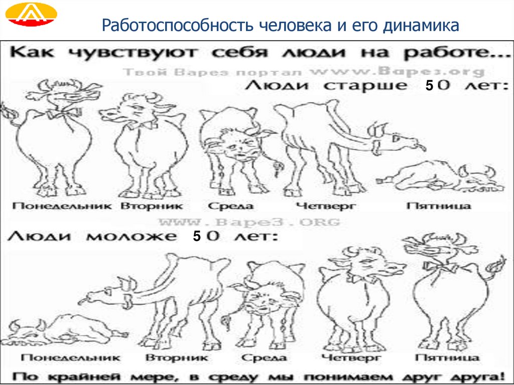 Работоспособность человека и его динамика