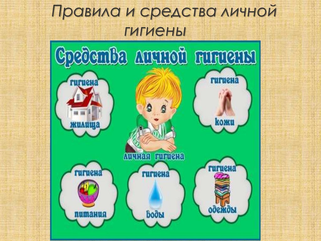 Правила и средства личной гигиены
