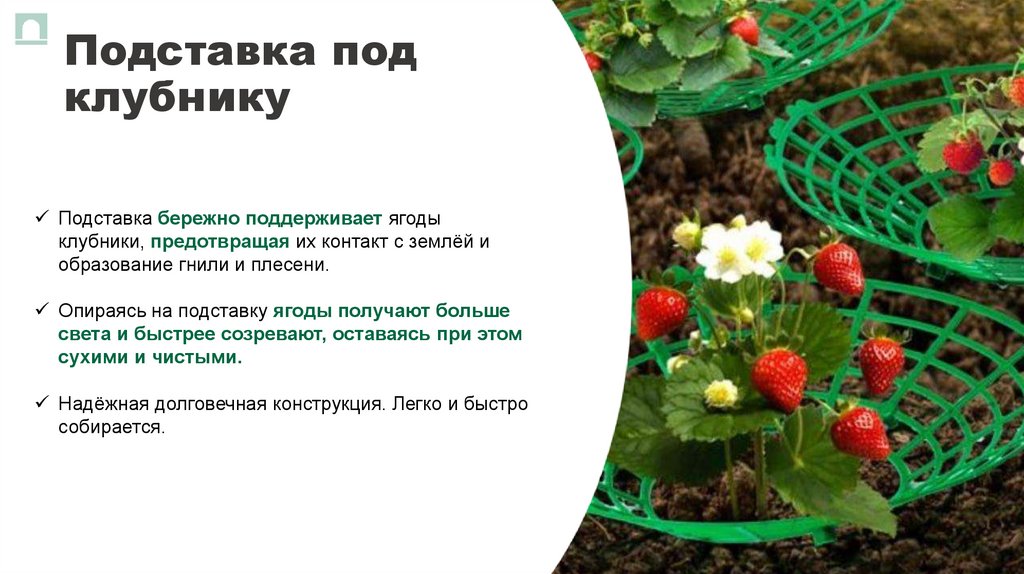 Подставка под клубнику