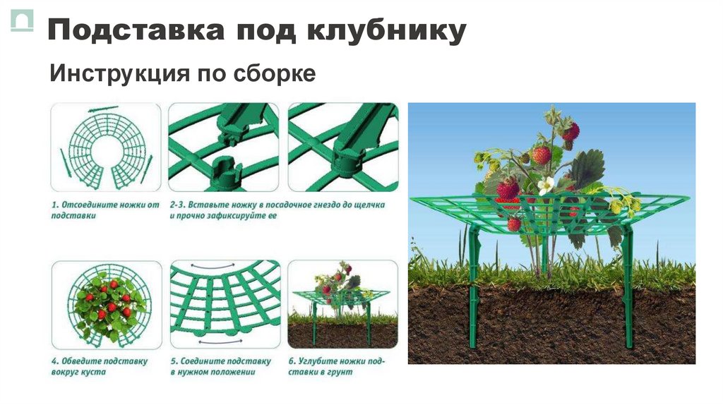 Подставка под клубнику