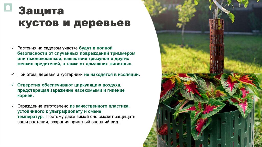 Защита кустов и деревьев