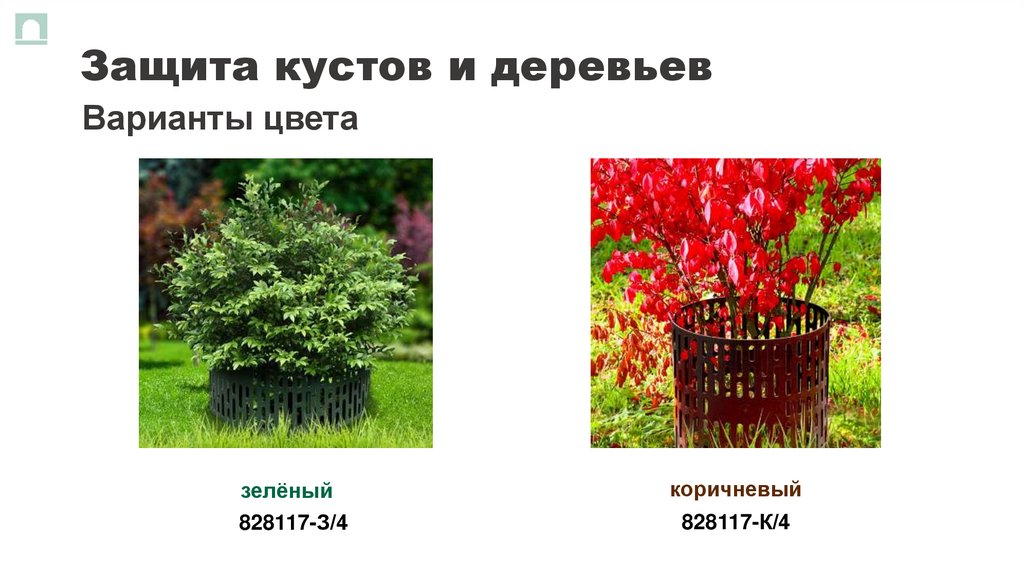 Защита кустов и деревьев
