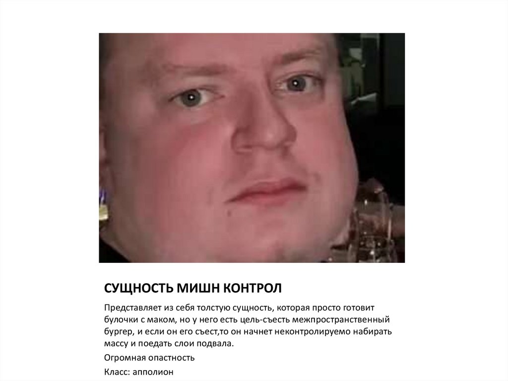 СУЩНОСТЬ МИШН КОНТРОЛ