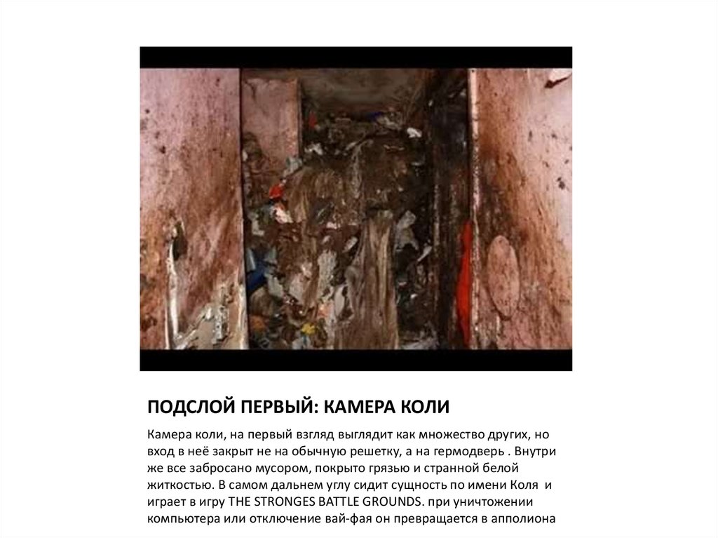 ПОДСЛОЙ ПЕРВЫЙ: КАМЕРА КОЛИ