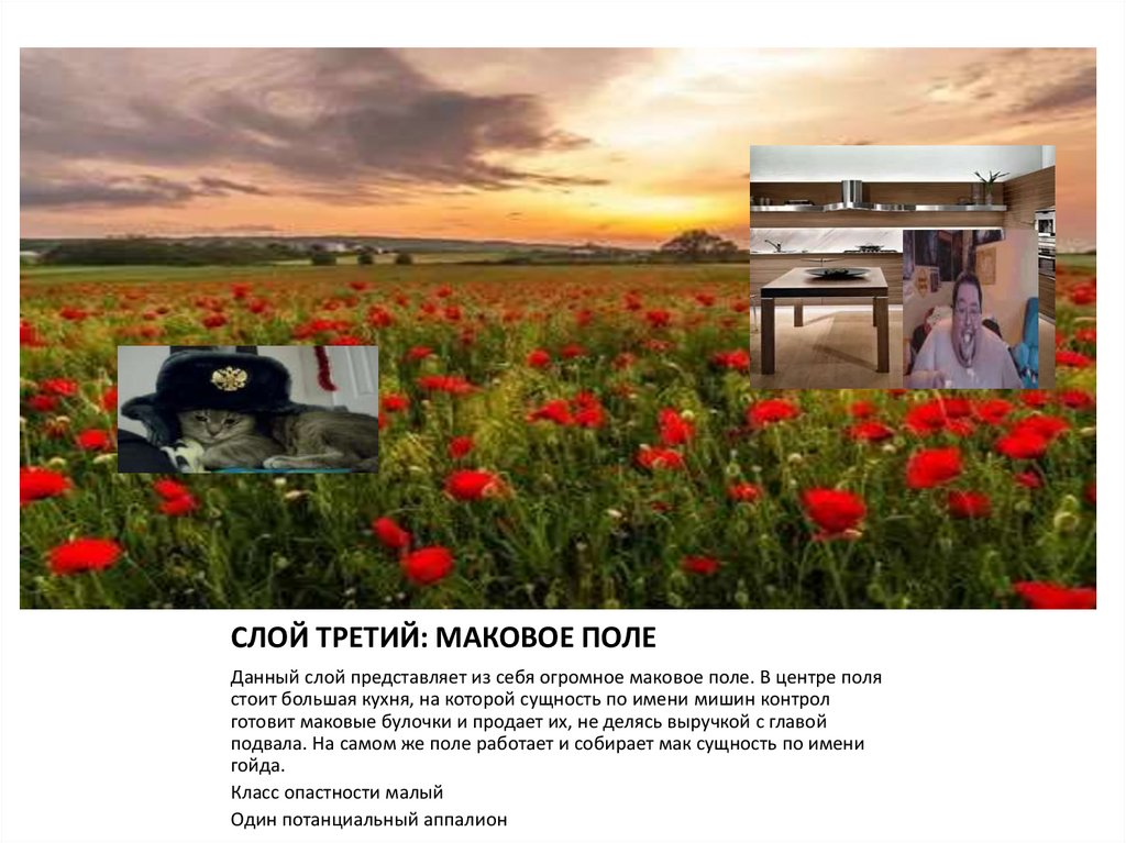 СЛОЙ ТРЕТИЙ: МАКОВОЕ ПОЛЕ