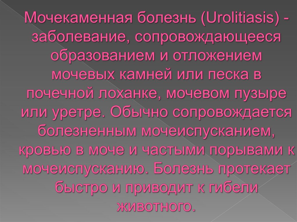 Мочекаменная болезнь (Urolitiasis) - заболевание, сопровождающееся образованием и отложением мочевых камней или песка в