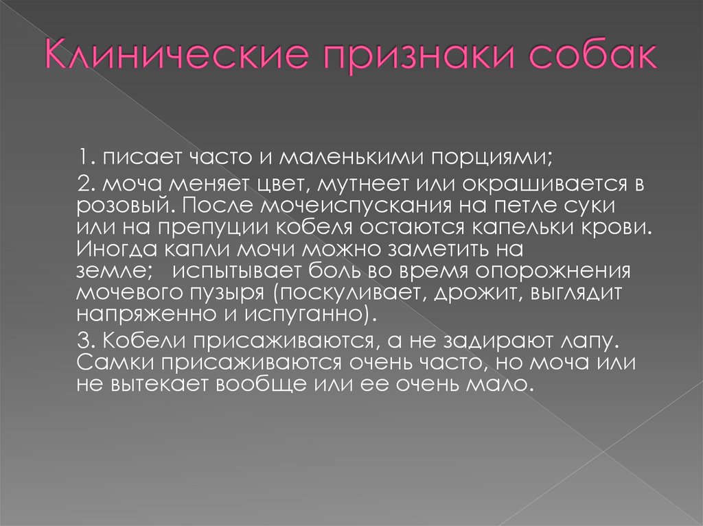 Клинические признаки собак