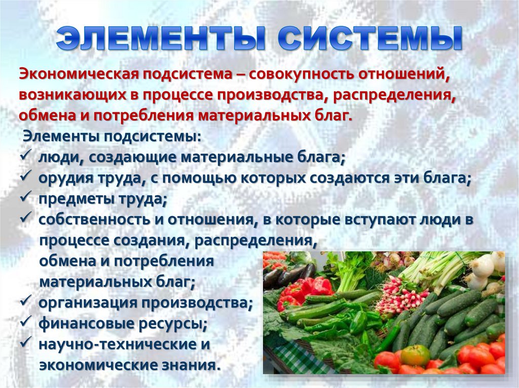 ЭЛЕМЕНТЫ СИСТЕМЫ