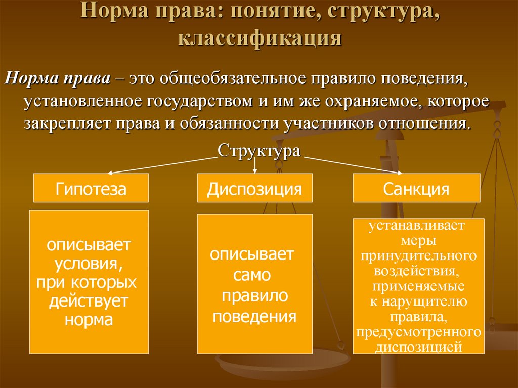 Норма права: понятие, структура, классификация