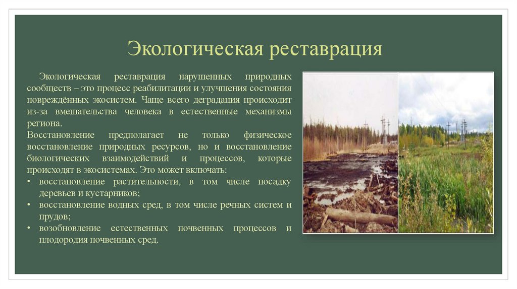 Экологическая реставрация