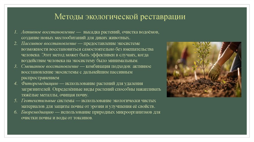 Методы экологической реставрации