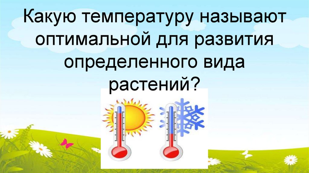 Какую температуру называют оптимальной для развития определенного вида растений?