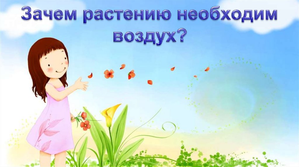 Зачем растению необходим воздух?