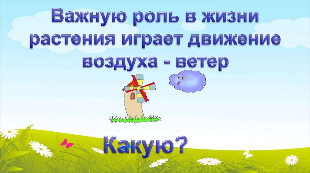 Важную роль в жизни растения играет движение воздуха - ветер