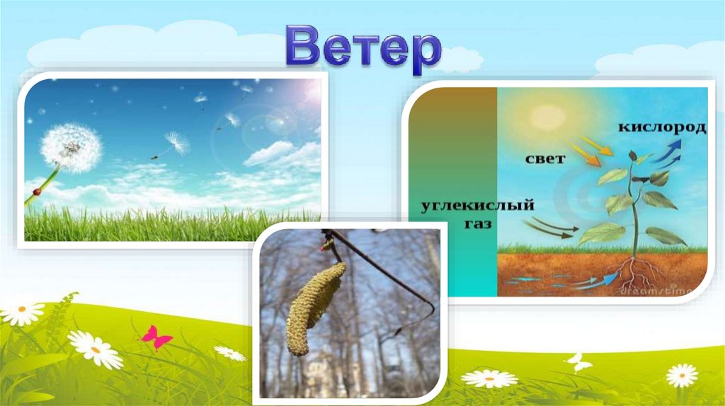 Ветер