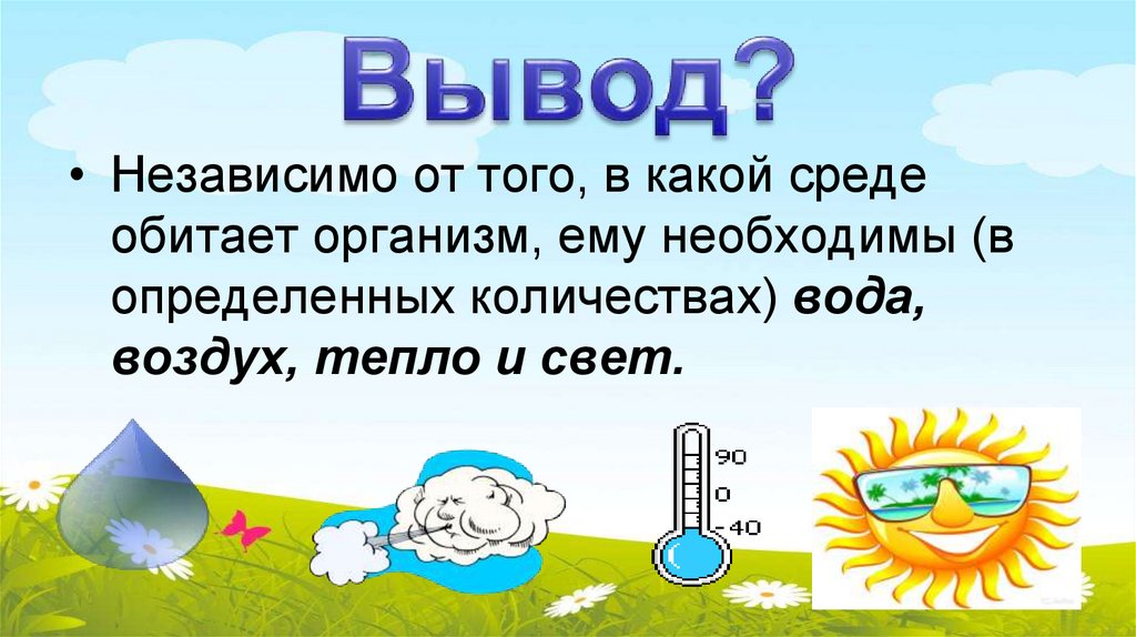 Вывод?