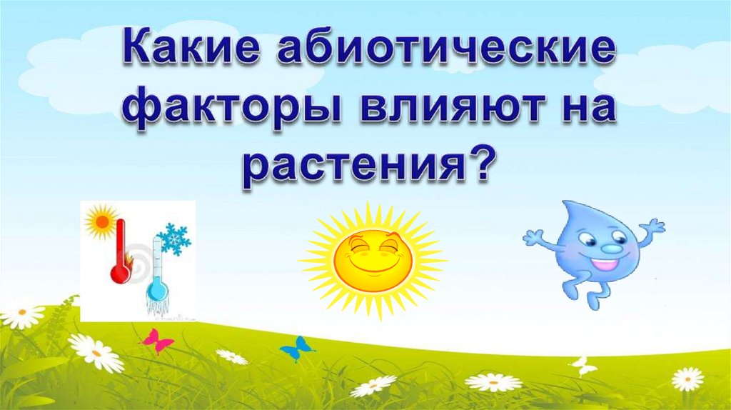 Какие абиотические факторы влияют на растения?